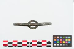 Foto von Bronzearmring (NHMW-PRAE-024985)